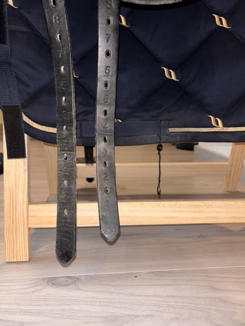 Sella da dressage Prestige Italia  17.5" - 2021