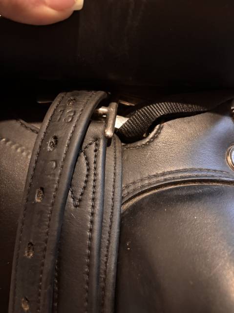 Sella da dressage Prestige Italia  17.5" - 2021