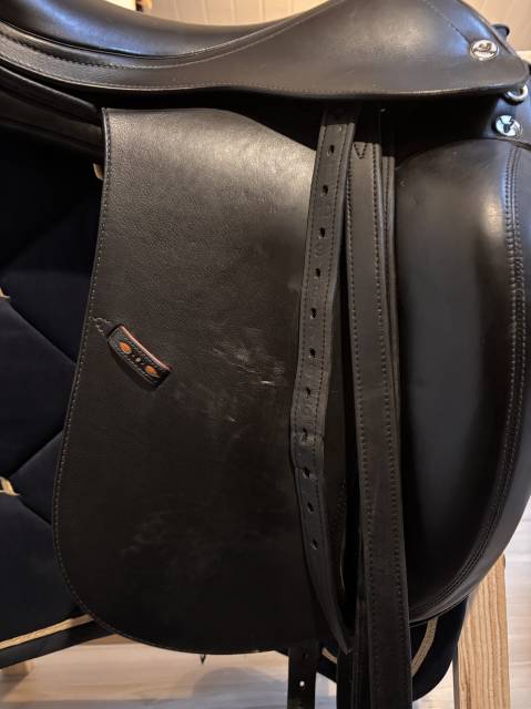 Sella da dressage Prestige Italia  17.5" - 2021