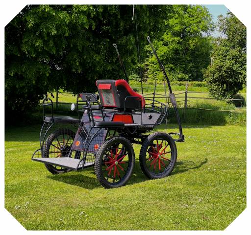 Attacchi - Calesse - Altra marca - Caleche EQUITECH VELOCE 125 L 