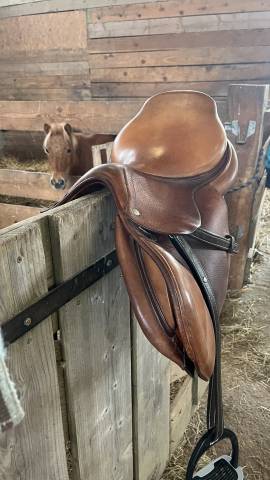 Sella mista CWD  16.5" - 2009