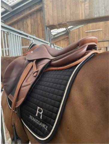 Sella da salto ostacoli Renaissance Renaissance 18" - 2018