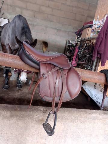 Sella mista Forestier  17" - 2023
