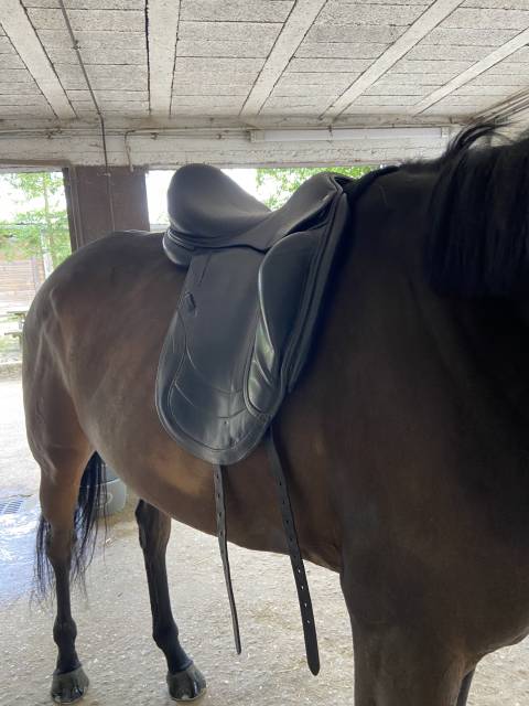 Sella da dressage CWD SE 08  18" - 2013