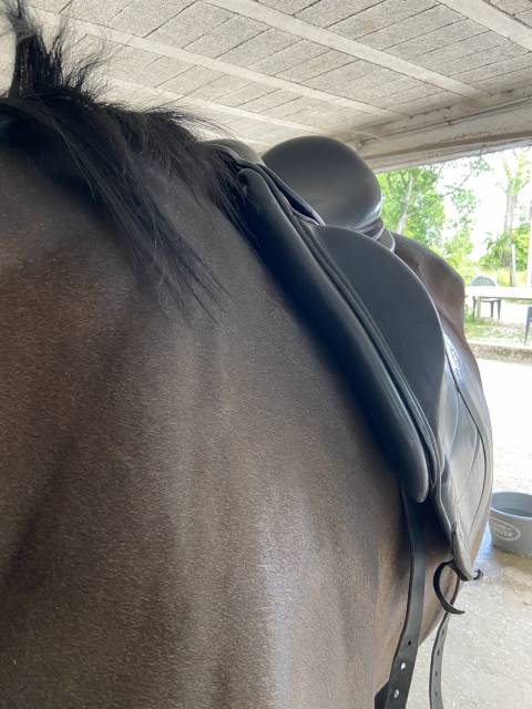 Sella da dressage CWD SE 08  18" - 2013