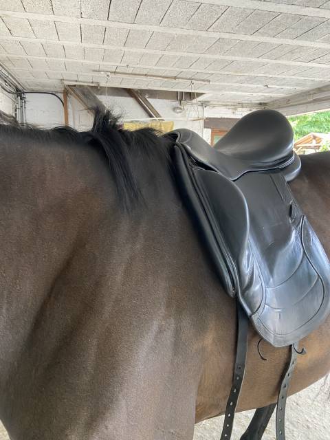 Sella da dressage CWD SE 08  18" - 2013