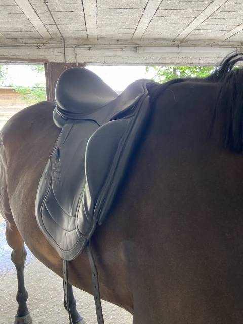 Sella da dressage CWD SE 08  18" - 2013