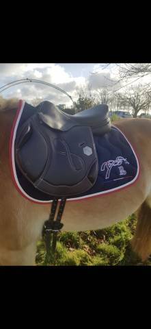 Sella mista Time Rider  17" - 2015