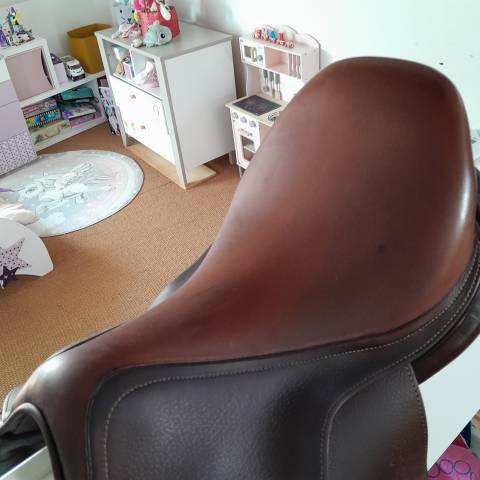 Sella da salto ostacoli Antarès Classique  17" - 2014