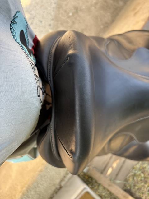 Sella da dressage Antar&egrave;s  17.5" - 2021