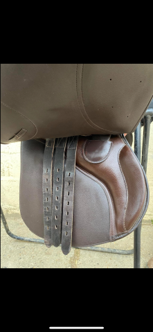 Sella da salto ostacoli TdeT  17.5" - 2018