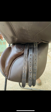 Sella da salto ostacoli TdeT  17.5" - 2018