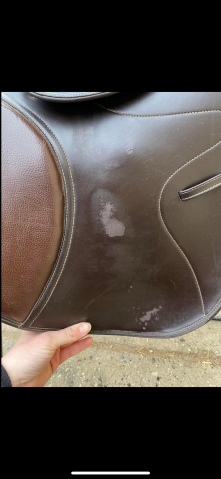 Sella da salto ostacoli TdeT  17.5" - 2018