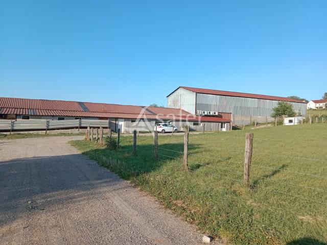Azienda ovina In vendita Jura