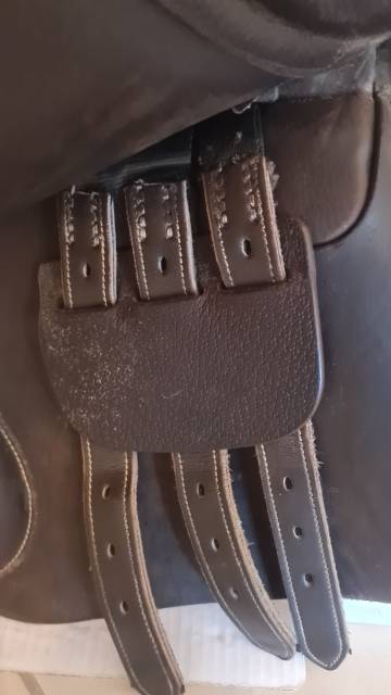 Sella mista Privilège Equitation  17" - 2018