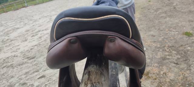 Sella mista Prestige Italia  17.5" - 2006