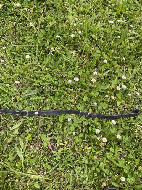  - Altra Marca - Occasione