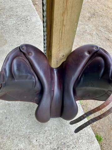 Sella da salto ostacoli Childeric  18" - 2022