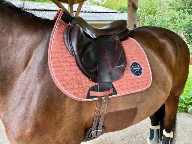 Sella da salto ostacoli Childeric  18" - 2022