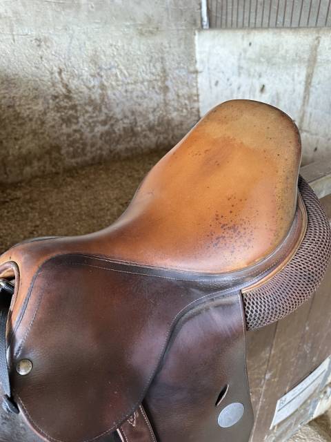 Sella da salto ostacoli Meyer  17.5" - 2010