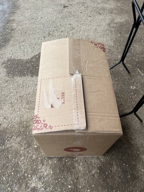 Sella da salto ostacoli CWD  17.5" - 2022