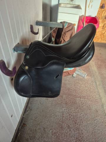 Sella mista Prestige Italia  15.5" - 2018