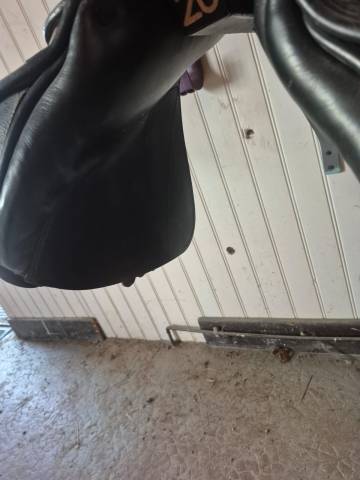 Sella mista Prestige Italia  15.5" - 2018