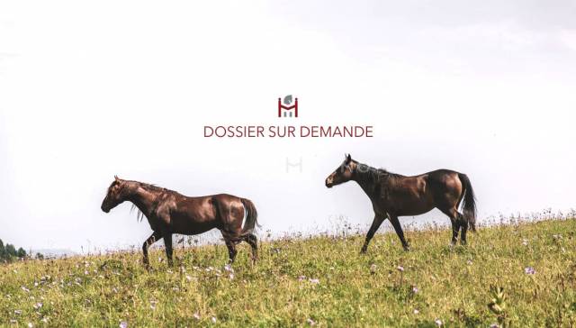 Proprietà equestre In vendita Manche