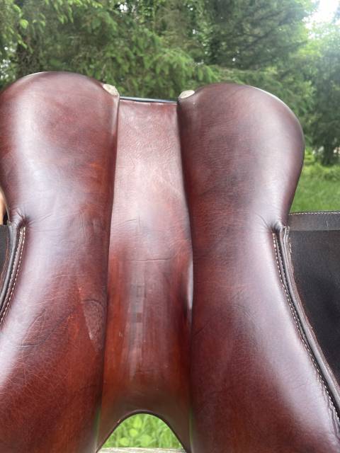 Sella da salto ostacoli GBS  18" - 2018