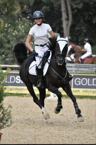 Pony da competizione 