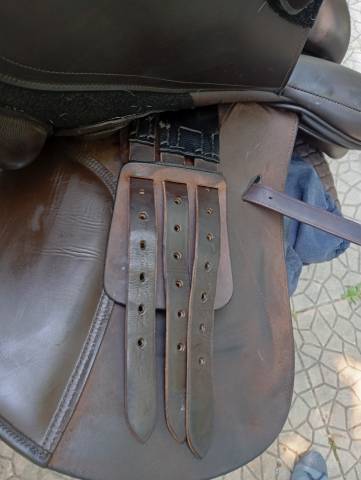 Sella mista   17" - 2018