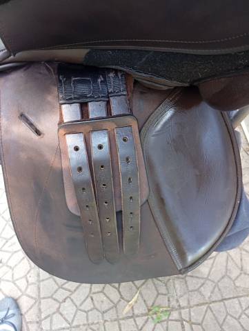 Sella mista   17" - 2018