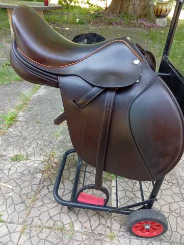 Sella mista   17" - 2018