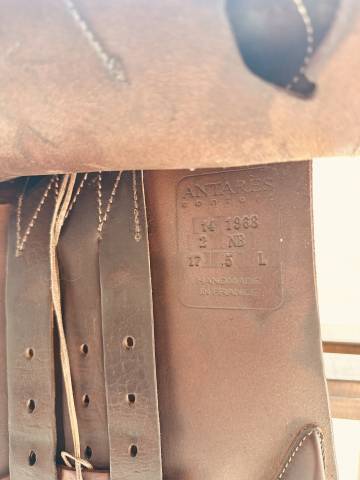 Sella da salto ostacoli Antarès  17.5" - 2014