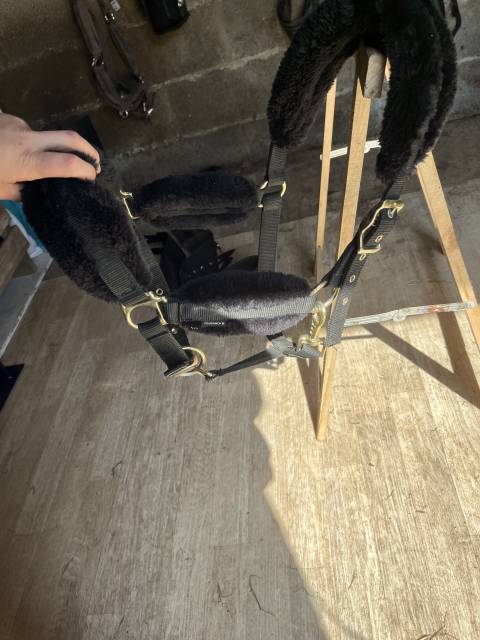  - Altra Marca - Occasione