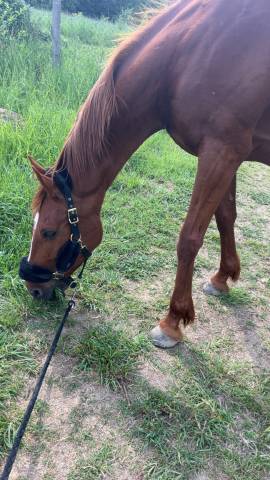  - Altra Marca - Occasione