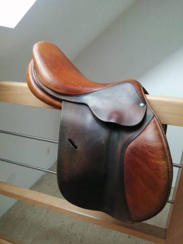 Sella da salto ostacoli Butet  17" - 2001