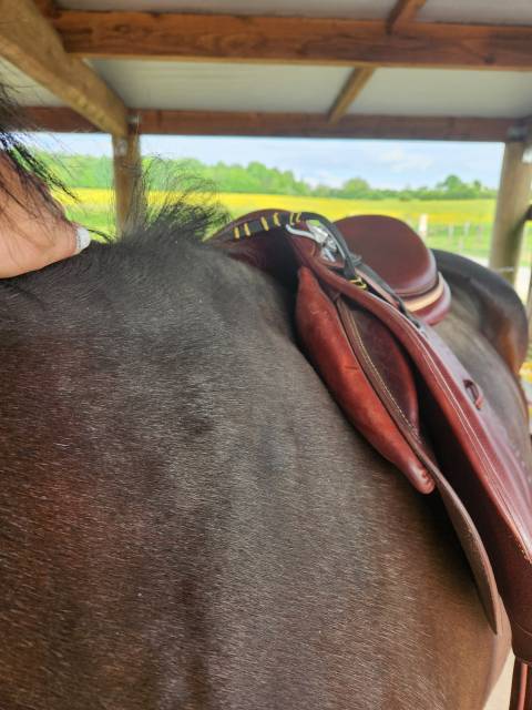 Sella da salto ostacoli Devoucoux  18" - 2020