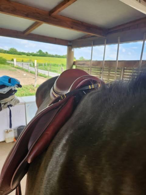 Sella da salto ostacoli Devoucoux  18" - 2020