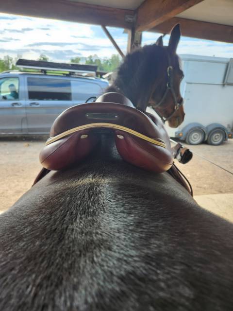 Sella da salto ostacoli Devoucoux  18" - 2020