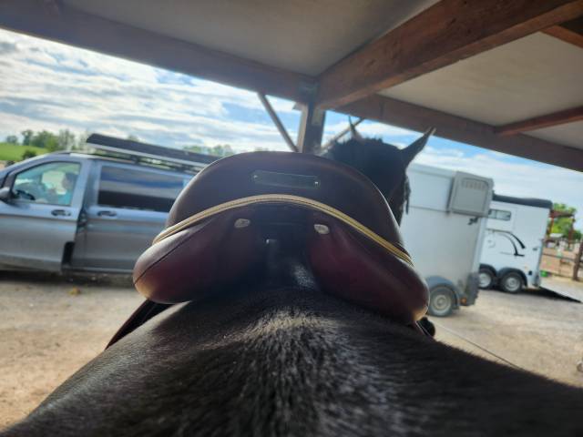 Sella da salto ostacoli Devoucoux  18" - 2020