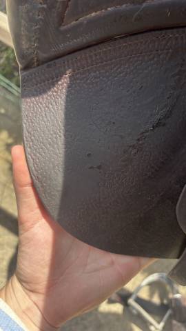 Sella da salto ostacoli CWD  17.5" - 2019