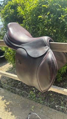 Sella da salto ostacoli CWD  17.5" - 2019