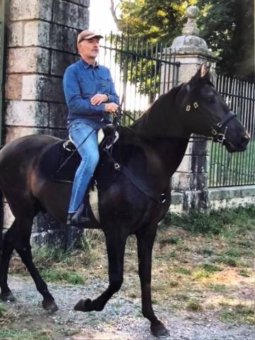 Castrone Lusitano In vendita 2007 Nero ,  VALSEUR RBO