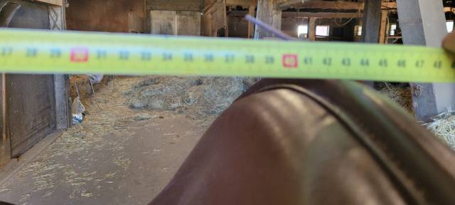 Sella western  Selle Rando-Western  16" - 2015