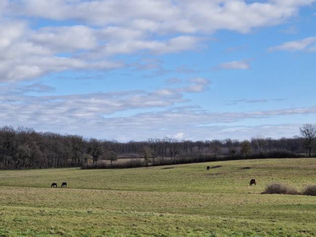 Proprietà equestre In vendita Saône-et-Loire