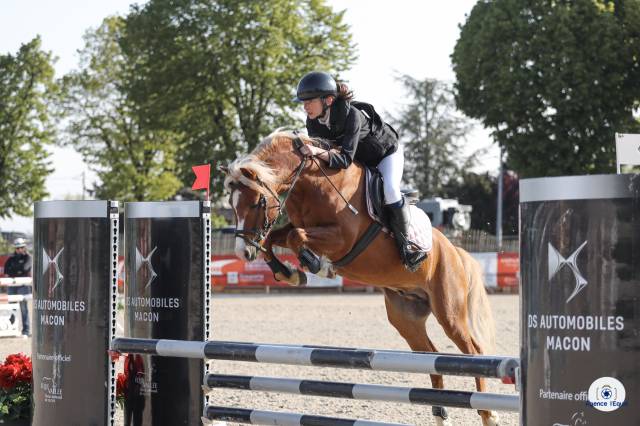 GOLBURY DES BERTAINES - Welsh Poney (Sezione B) 2016 ,  VINCE DIWAN