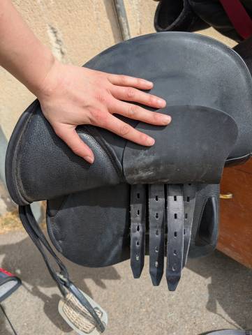 Sella mista Amerigo  17" - 2023