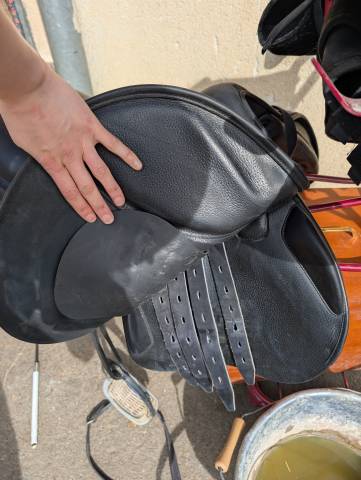 Sella mista Amerigo  17" - 2023