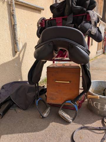 Sella mista Amerigo  17" - 2023